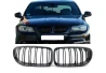 Predná maska ľadvinky Double-line BMW 3 E90/91 2009-2012 karbon na automobil