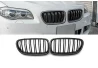 Predná maska ľadvinky Double-line BMW 5 F10 / F11 karbon na automobil