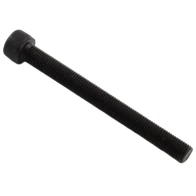 Skrutka M10x100x1,25mm